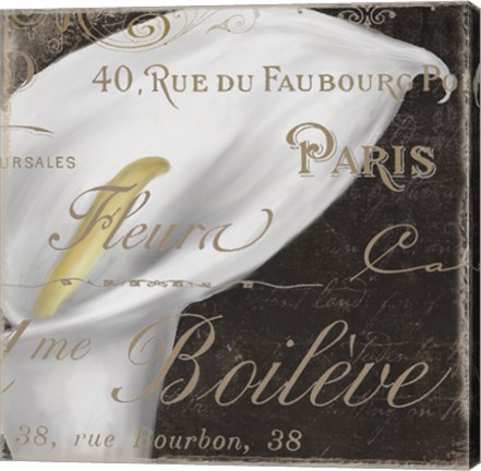 Framed Fleurs Blanc I Print