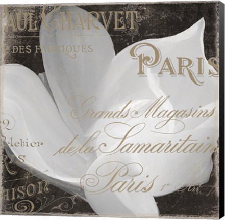 Framed Fleurs Blanc II Print