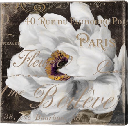 Framed Fleurs Blanc III Print