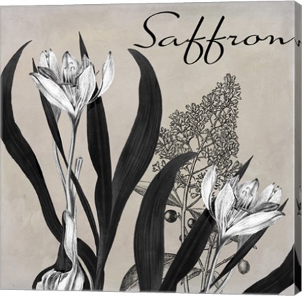 Framed Flowering Herbs I Print