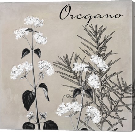 Framed Flowering Herbs II Print