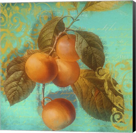 Framed Glowing Fruits I Print