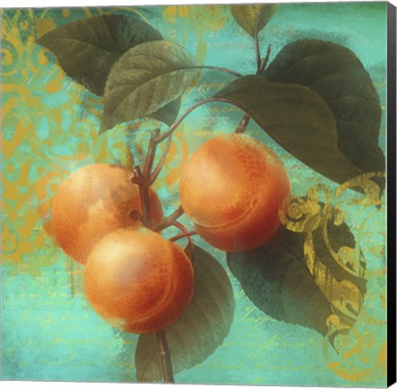 Framed Glowing Fruits II Print