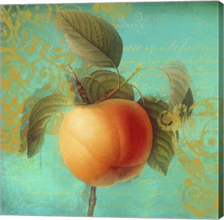 Framed Glowing Fruits III Print