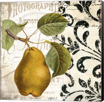 Framed Les Fruits Jardin I Print