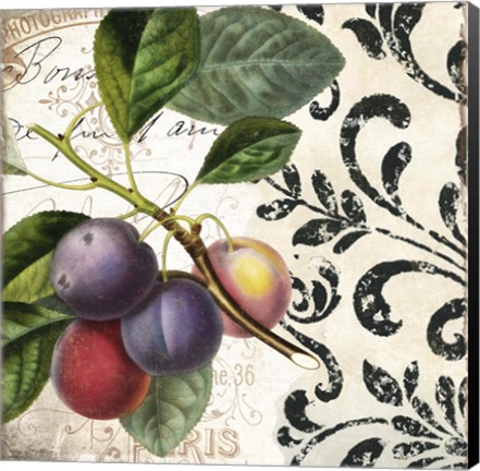 Framed Les Fruits Jardin III Print