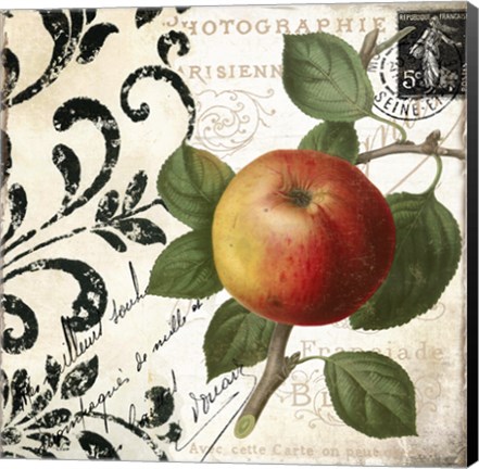 Framed Les Fruits Jardin IV Print