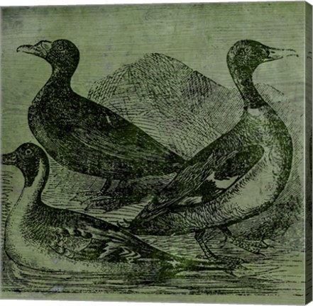 Framed Mallards Print