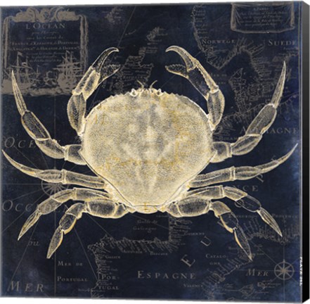 Framed Maritime Blues III Print