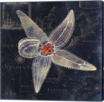 Framed Maritime Blues IV Print