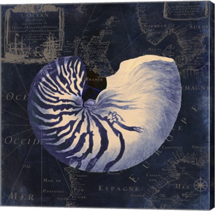 Framed Maritime Blues V Print