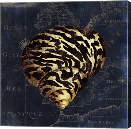 Framed Maritime Blues VI Print