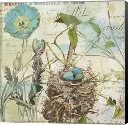 Framed Nesting I Print