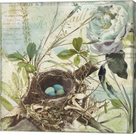 Framed Nesting II Print