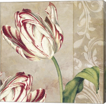 Framed Peppermint Tulips I Print