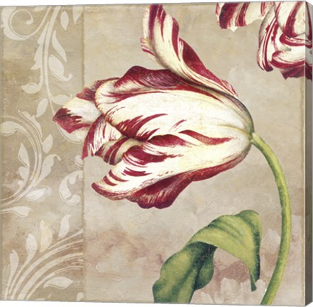 Framed Peppermint Tulips II Print