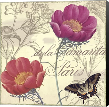 Framed Petals of Paris I Print