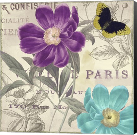 Framed Petals of Paris II Print