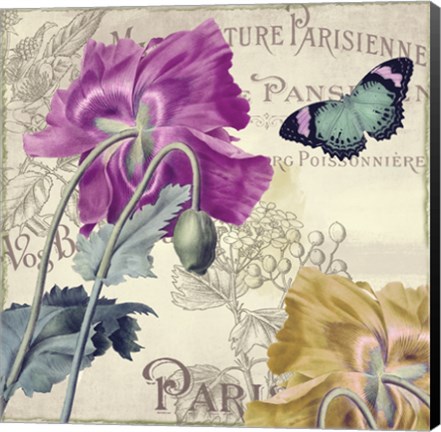 Framed Petals of Paris III Print