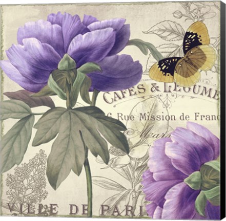 Framed Petals of Paris IV Print