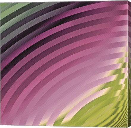 Framed Satin II Print