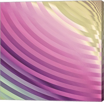 Framed Satin III Print