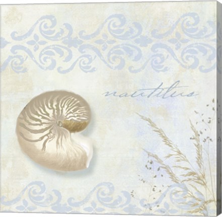 Framed She Sells Seashells I Print