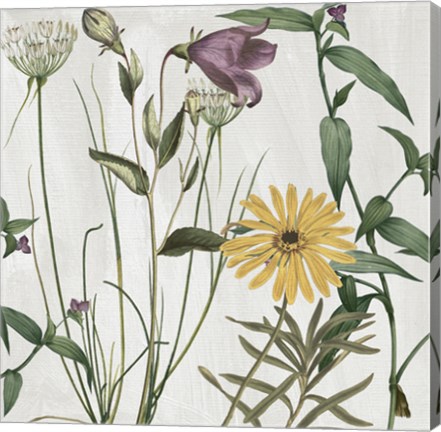 Framed Softly I Print