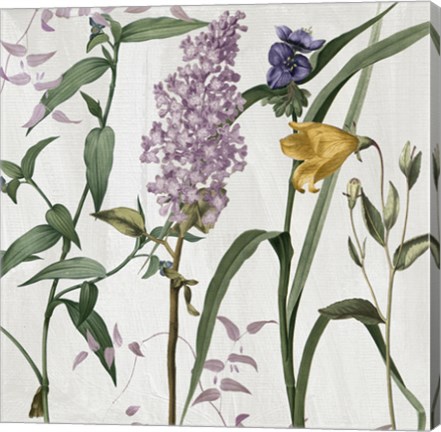 Framed Softly II Print