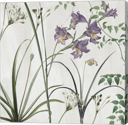 Framed Softly III Print