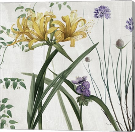 Framed Softly IV Print