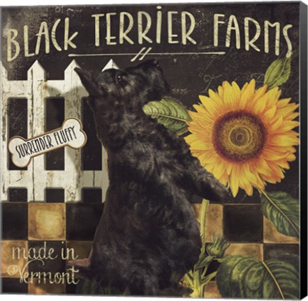 Framed Vermont Farms V Print