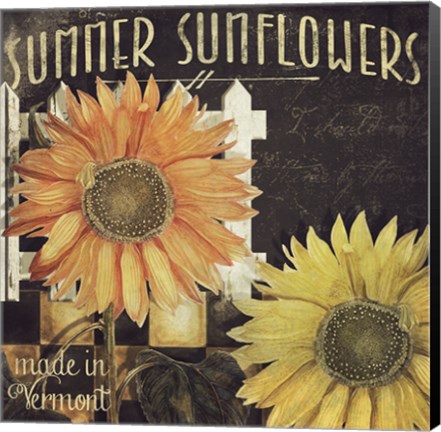 Framed Vermont Farms XI Print