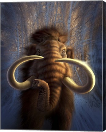 Framed Woolly Mammoth in Snow Print