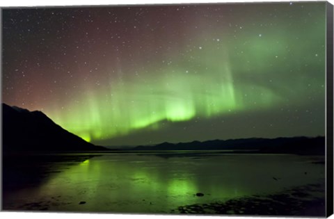Framed Aurora Borealis over Kluane Lake Print