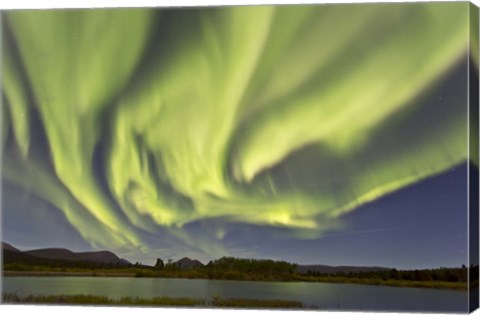 Framed Aurora Borealis, Yukon, Canada Print