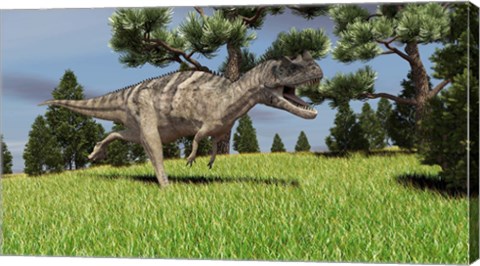Framed Ceratosaurus Print