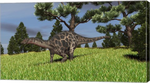 Framed Dicraeosaurus Walking in a Field Print