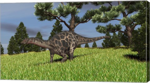Framed Dicraeosaurus Walking in a Field Print