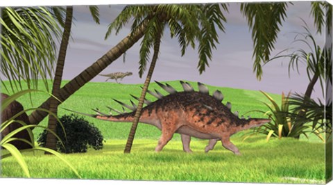 Framed Kentrosaurus Walking in Field Print