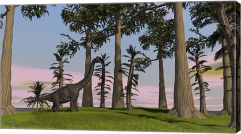 Framed Large Brachiosaurus Among Trees Print