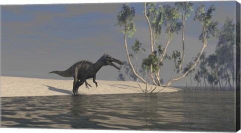 Framed Suchomimus Hunting for Food Print