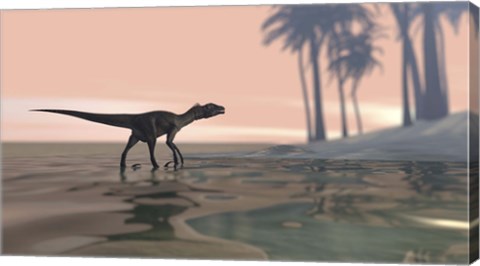 Framed Utahraptor in Shallow Water Print