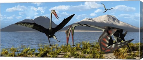 Framed Gigantic Quetzalcoatlus pterosaurs Print