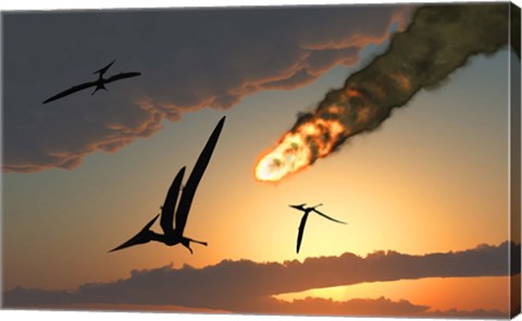 Framed Pteranodons in Flight Print