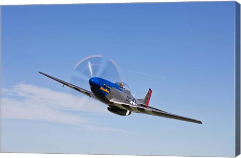 Framed P-51D Mustang in Flight Print