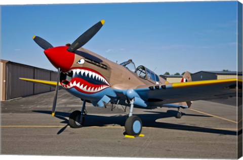 Framed Curtiss P-40E Warhawk Print