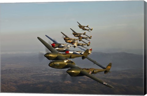 Framed Five Lockheed P-38 Lightnings Print