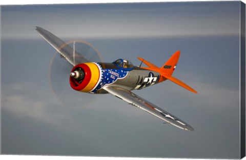 Framed Republic P-47D Thunderbolt Print