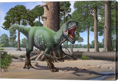 Framed Megaraptor Print
